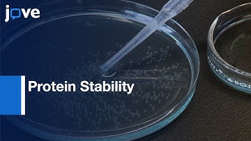 FDAP for Protein Stability Measurement | Protocol Preview