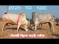 Sylheti bisal lorai  denger 1 vs joyraj  todays mair