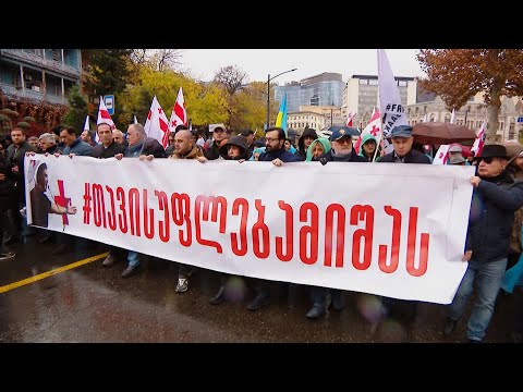 მიხეილ სააკაშვილის მხარდამჭერი აქცია | მთავარის სპეცეთერი