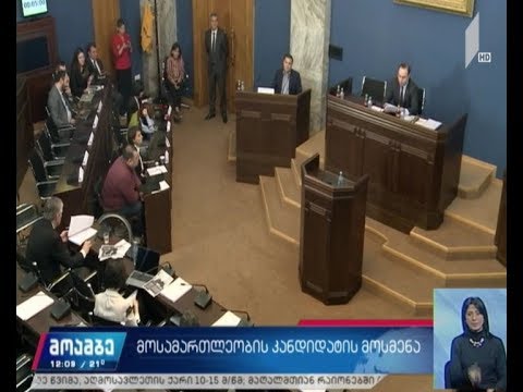 პარლამენტში ლევან მიქაბერიძეს უსმენენ