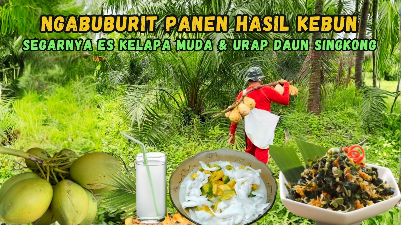 Panen Hasil Kebun...Masak Menu Berbuka Urap Daun Singkong, Goreng Ikan Kopong dan Rujak Kelapa Muda.