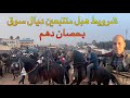 اليوم شرويط دار روينة ولبلبالة بحصان دهم ملكي والجمهور تفاعل معاه من سوق اليوم شرويط دار روينة ولبلبالة بحصان دهم ملكي والجمهور تفاعل معاه من سوق