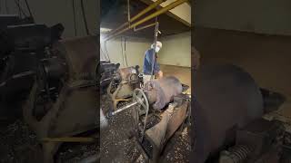 Así Se Fabrican Las Tutucas Fuimos A La Fábrica Del Mayor Productor De Tutucas De Argentina