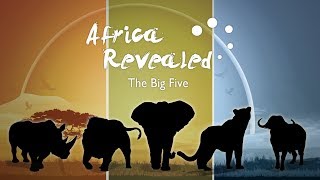 Africa Revealed: What are the big five?