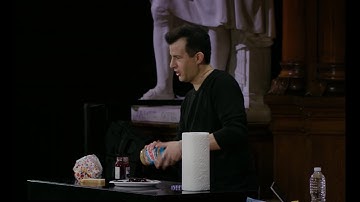 David Malan es profesor del curso CS50, el más grande y popular de la Universidad de Harvard.