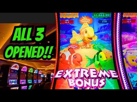 Gold Fish Feeding Time! Extreme Bonus!! All 3 Fish. Viewer's Request #slots #casino #4k #megafeature