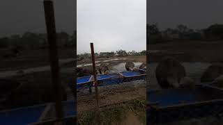 20200120 125830