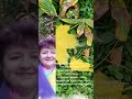Живіть тут і зараз... #життя #жизнь #здесьисейчас