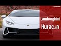 لامبورغيني هوريكان جنون السرعة والأداء والتصميم 