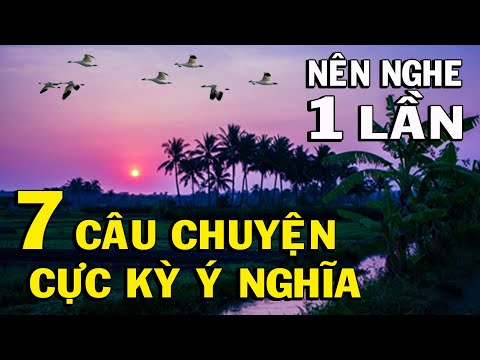 Câu Chuyện Cuộc Sống
