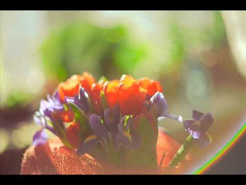 Barbara Borra - Walking On Springtime