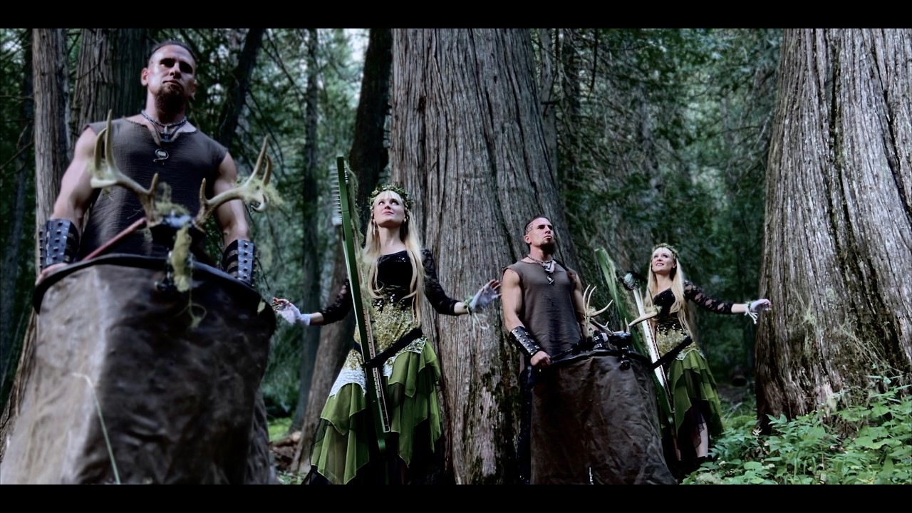 Harp Twins & Volfgang Twins
