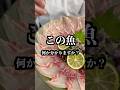 【クイズ】この魚何か分かりますか？？