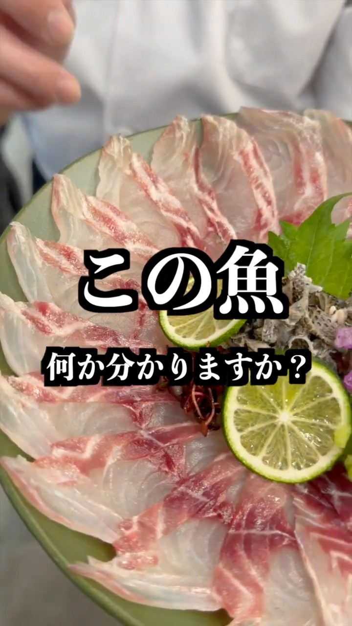 クイズ】この魚何か分かりますか？？ - YouTube