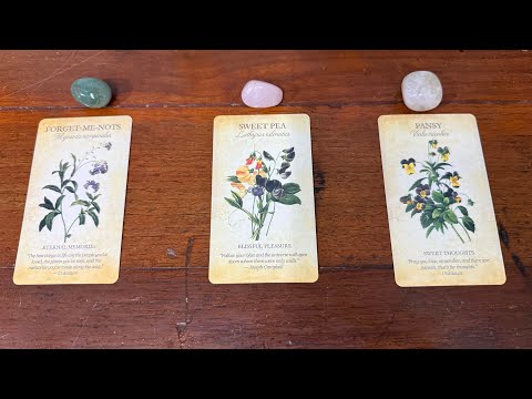 Single လေးတွေအတွက် အချစ်ရေး တစ်ကတ်ရွေး 🤭💕 ( PICK A CARD READING ) 🍀💕