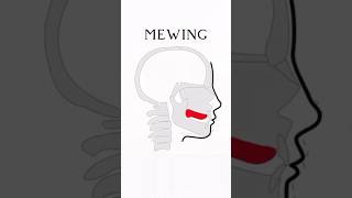 Mewing 💀