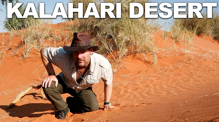 Survivorman | The Kalahari Desert | Namibia | Seas...