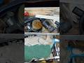 Camshaft VVT adjuster magnet replaced   14 200s 3.6