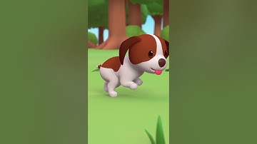 Puppy being Playful with Beetles! 🪲 | Leo the Wildlife Ranger | #shorts #animals #fun