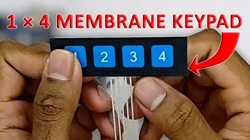 How to Use a Membrane Keypad 1x4 with Arduino | Simple Serial Monitor Project