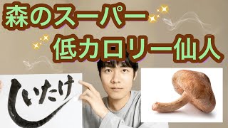 しいたけの栄養効果まとめ！世界で２番目にカロリーが低い食材！？