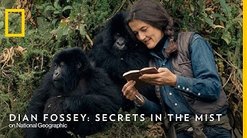 Official Trailer | Dian Fossey: Secrets In The Mist | National Geographic UK