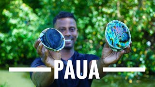 ഇതനകതത മതതണടകമ ....Paua Cooking