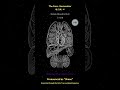 🔊 [For Speaker] 852 Hz | Total Body Reset | The Harmonizer 🌀 Balance Upper &amp; Lower Energy #shorts