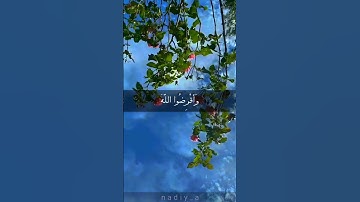 هدوء و سكينة عبدالرحمن مسعد#قرآن_كريم #قراء_القرآن#قران_كريم#تلاوة_خاشعة #إسلام_صبحي#حالات_واتس#قرآن