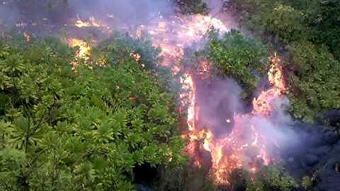 video-2010-04-29-06-21-31.3gp