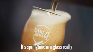 Samuel Adams Cold Snap 2022