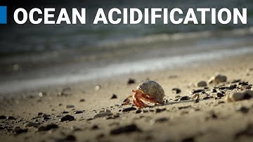 Ocean Acidification
