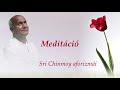 Meditáció – válogatás Sri Chinmoy aforizmáiból Agadha előadásában