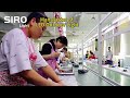 Led outdoor light manufacturer -Sirolight