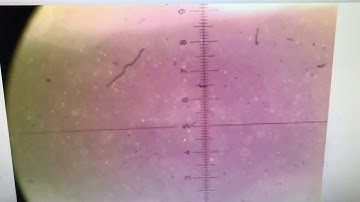 Labs 2 Video Project