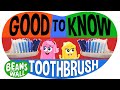 Good to Know - Toothbrush | Kids Songs | Beans in the Wall