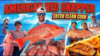 Anna Maria Island RED SNAPPER (Catch Clean & Cook Red SNAPPER)