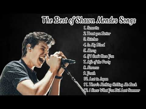 The Best of Shawn Mendes Songs