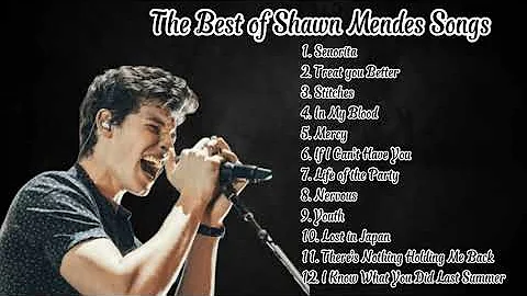 The Best of Shawn Mendes Songs