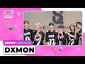 CHECK IN 💕 | DXMON(다이몬) | KCON JAPAN 2024