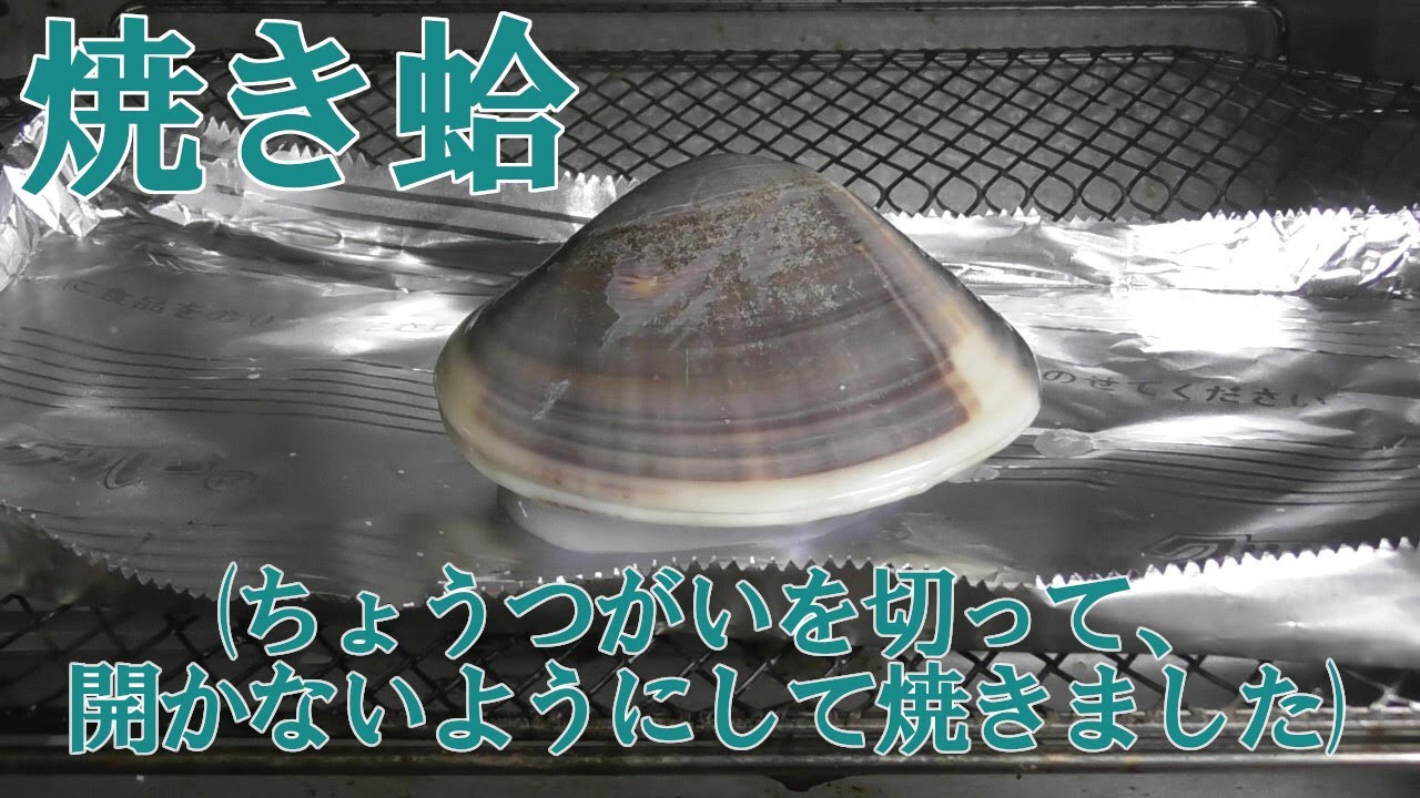 焼きハマグリをオーブントースターで作りました 蝶つがいを切ってから焼きました Youtube