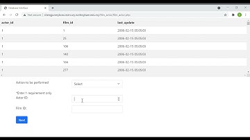 Database Interface Walkthrough