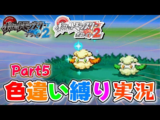 ブラック2 ニンテンドー ポケモン パッケージ付き 色違い 伝説ポケモン