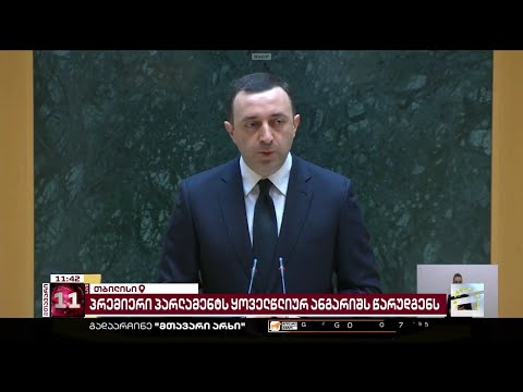 ღარიბაშვილის ანგარიში პარლამენტში