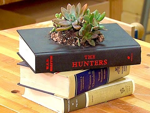 3 Unique DIY Projects to Repurpose Old Books