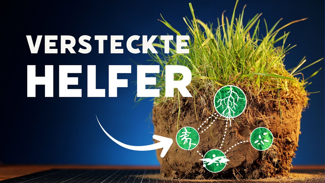 Wie uns das Leben im Boden helfen kann