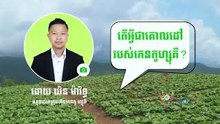 What is Purpose Kenkoshoku តើអ្វីជាគោលដៅរបស់កេនកូ ហ្សុគឹ