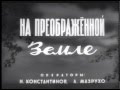 1950_0900 Сосны в песках Придонья