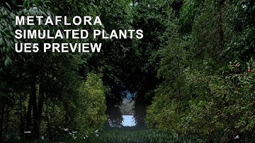 MetaFlora Preview: Simulated Plant Environments | Unreal Engine