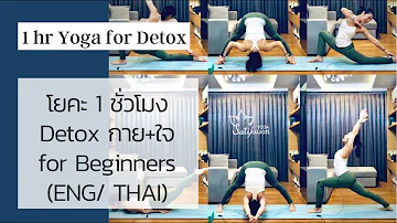 1 hr Beginner Yoga for Detox Body & Mind by Sati (ENG/ THAI)